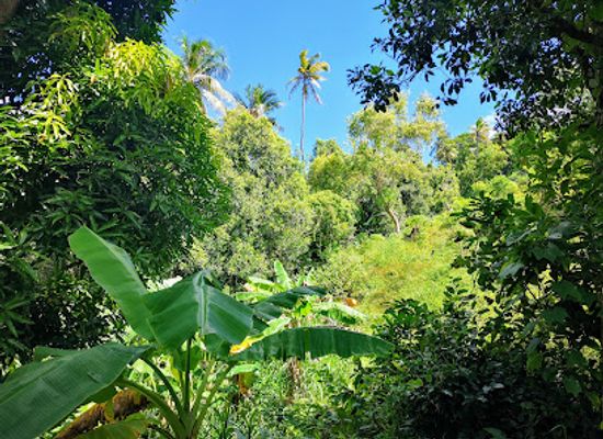 comoros/bambao-mtrouni/landmark/comoro-islands