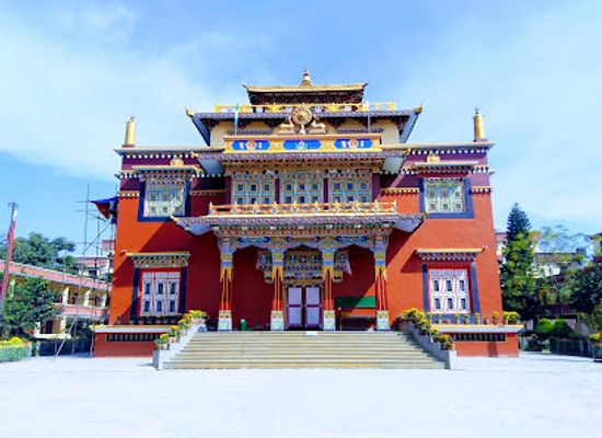 nepal/kathmandu/boudhanath/landmark/shechen-monastery