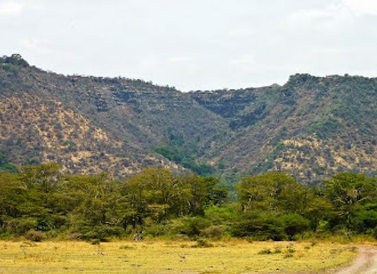 tanzania/ngorongoro-highlands/landmark/lake-manyara-national-park