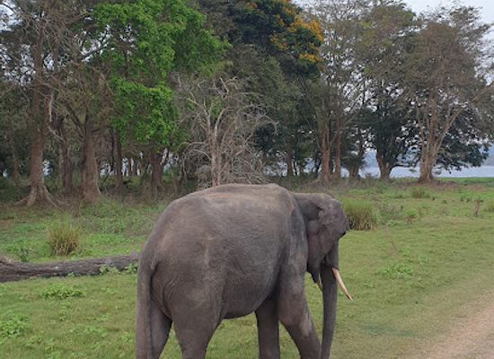 sri-lanka/dry-zone/landmark/padupola-watch-hut-of-minneriya-park