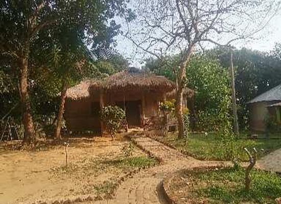 bangladesh/srimangal/landmark/litchibari-eco-resort