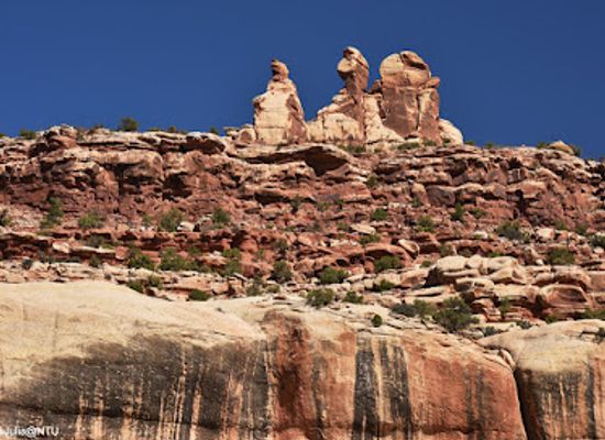 utah/arches-national-park/landmark/newspaper-rock-state-historical-monument