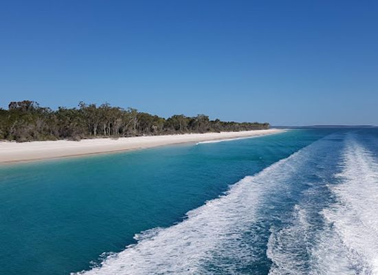 australia/fraser-coast/landmark/spirit-of-hervey-bay-whale-watching-hervey-bay