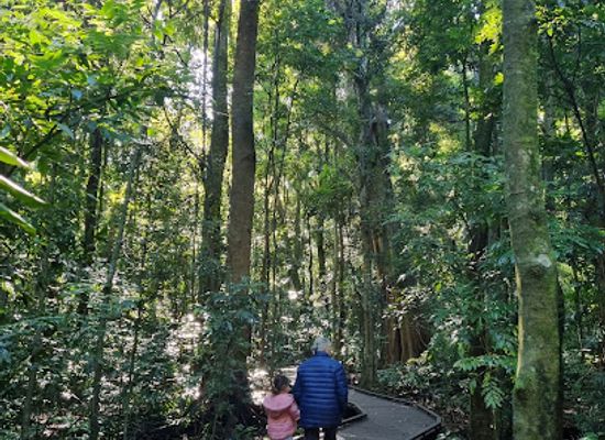 australia/northern-rivers/landmark/victoria-park-nature-reserve