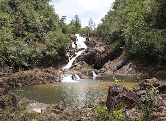 belize/mountain-pine-ridge/landmark/noj-kaax-meen-elijio-panti-national-park-visitors-center
