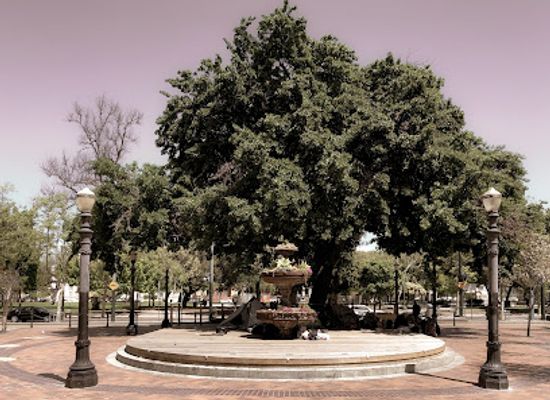 california/silicon-valley/landmark/st-james-park-san-jose-history-walk-marker-23