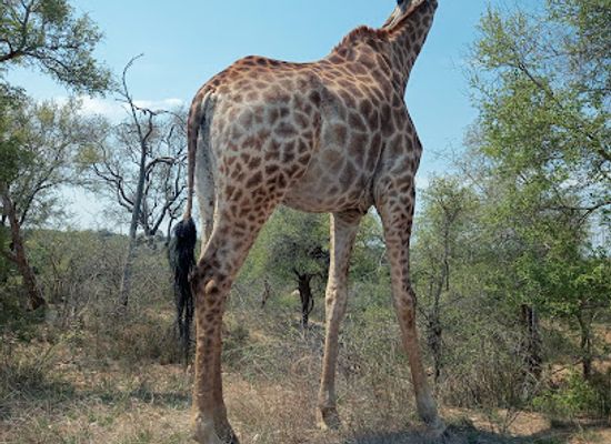 south-africa/highveld/landmark/mpumalanga-tourism-parks-agency