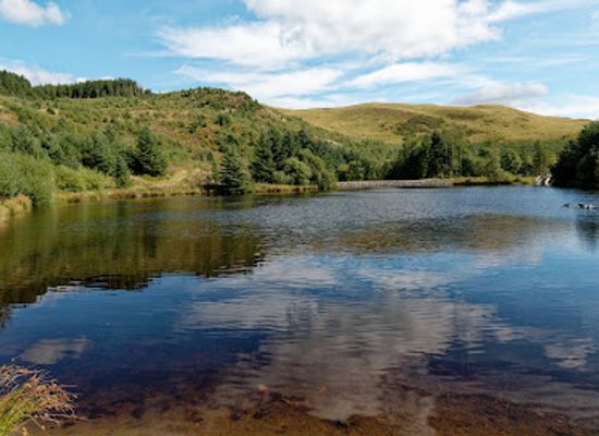 united-kingdom/cardiganshire/attraction/bwlch-nant-yr-arian-forest-visitor-centre-2