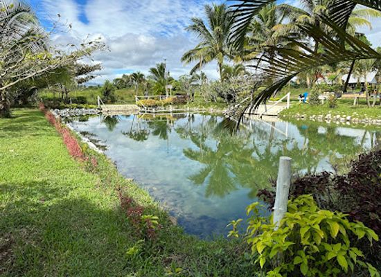 fiji/sigatoka/landmark/sabeto-hot-spring-mud-pool-and-tours