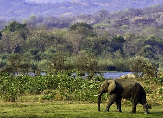 malawi/central-region/landmark/majete-wildlife-reserve