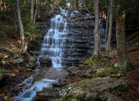 pennsylvania/susquehanna-valley/landmark/buttermilk-falls-at-bear-creek-preserve