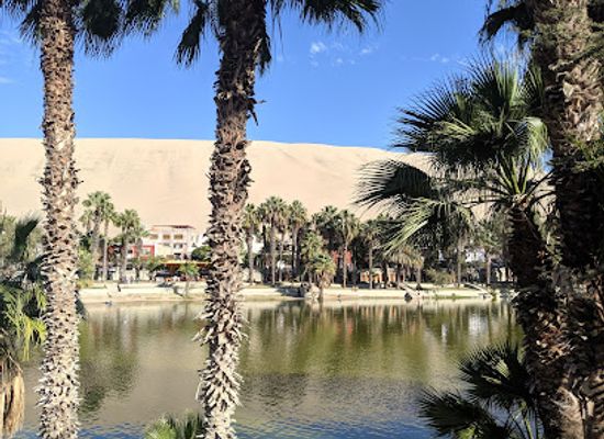 peru/ica/landmark/wild-olive-trattoria-guest-house