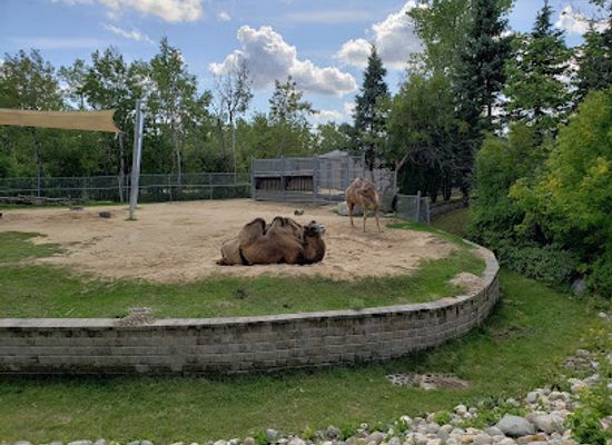 canada/cariboo/landmark/assiniboine-park-zoo