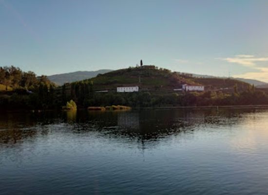 portugal/douro/landmark/douro-porto-wine-festival
