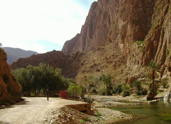 algeria/saharan-atlas/landmark/chrea-national-park