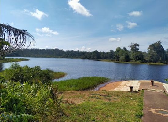 brunei/tutong-beach/landmark/tasek-merimbun