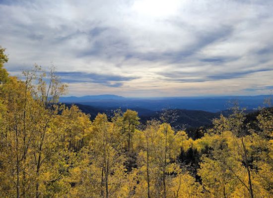 new-mexico/santa-fe-national-forest/landmark/aspen-vista-picnic-ground