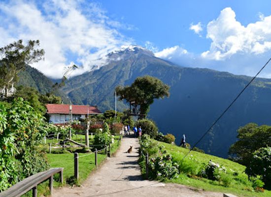 ecuador/central-sierra/landmark/la-casa-del-arbol