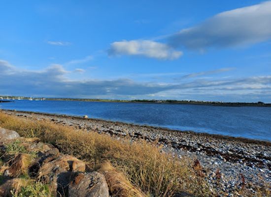 ireland/county-galway/landmark/rinville-park