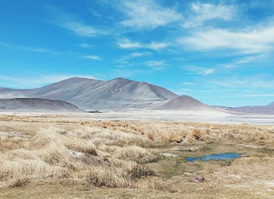 chile/san-pedro-de-atacama/landmark/lagunas-escondidas-de-baltinache