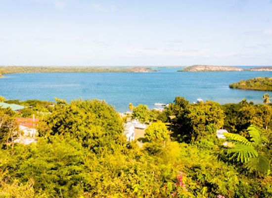 antigua-and-barbuda/all-saints/landmark/stingray-city-antigua
