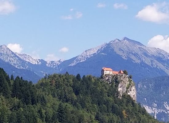 slovenia/mura/landmark/the-heart-of-bled