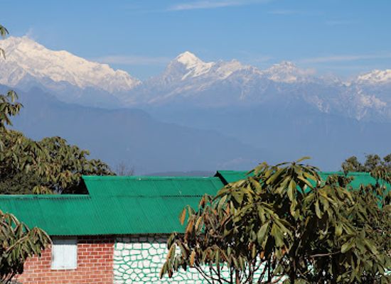 nepal/kanchenjunga-base-camp/landmark/barsey-rhododendron-sanctuary