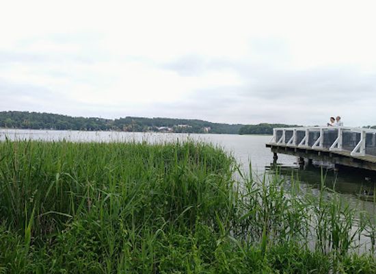 poland/mazury/landmark/wolf-s-lair