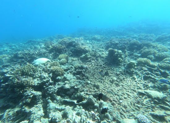 maldives/huvadhoo-atoll/landmark/bodu-helun-thila