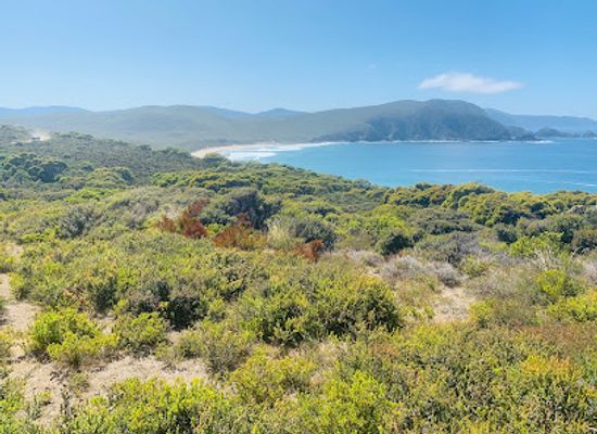 australia/tasmania/landmark/south-bruny-national-park