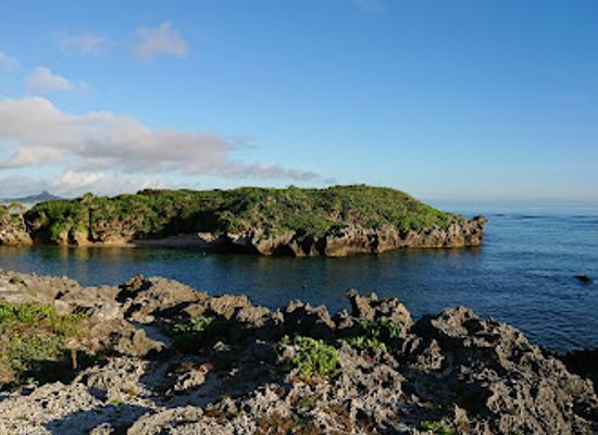 japan/okinawa/landmark/bisezaki