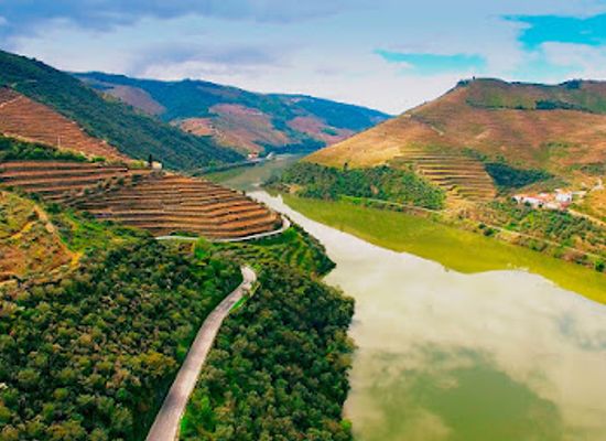 portugal/minho/landmark/douro-valley-wine-tours-oporto-transfers