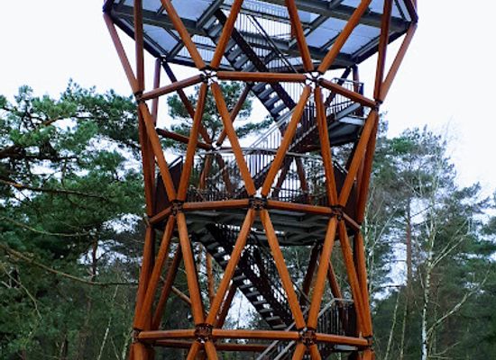 netherlands/veluwe-national-park/landmark/het-kootwijkerzand