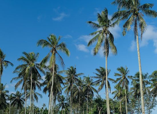 indonesia/balikpapan/landmark/watu-beach-lamaru