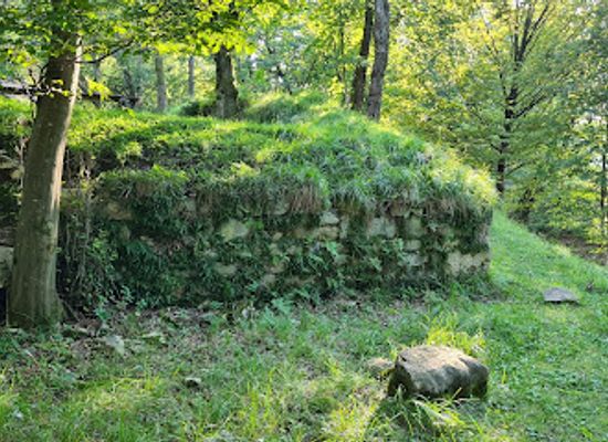 slovenia/skofja-loka/landmark/ruins-of-old-tower-on-krancelj