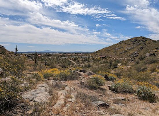 arizona/sonoran-desert/landmark/pima-canyon-trailhead