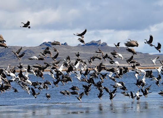 oregon/josephine-county/landmark/tule-lake-national-wildlife-refuge