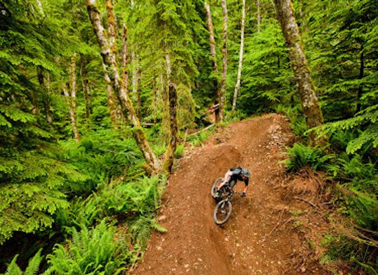 oregon/clackamas-county/landmark/sandy-ridge-trail-system