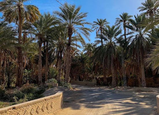 tunisia/the-djerid/landmark/djerid