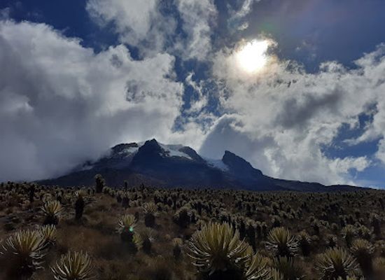 colombia/catatumbo/landmark/los-nevados-national-park