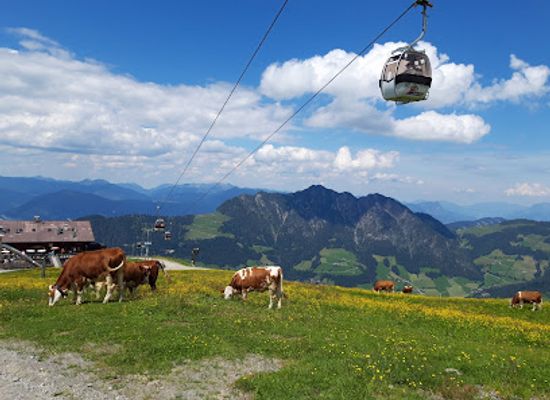 austria/alpbachtal/landmark/lauserland