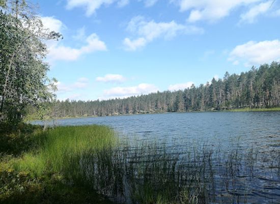 finland/north-ostrobothnia/landmark/rokua-national-park