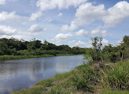 guyana/berbice-river/landmark/canje-river