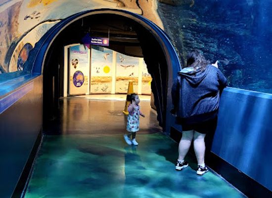 australia/western-district/landmark/sea-life-melbourne-aquarium
