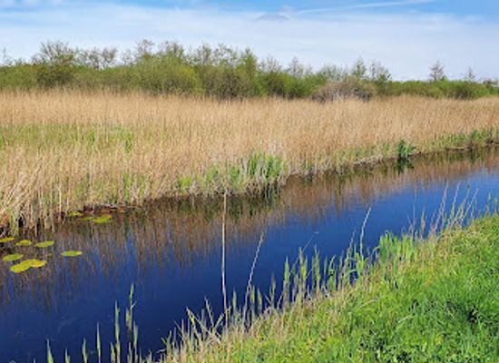 netherlands/ijsselmeer-polders/landmark/grote-wielen
