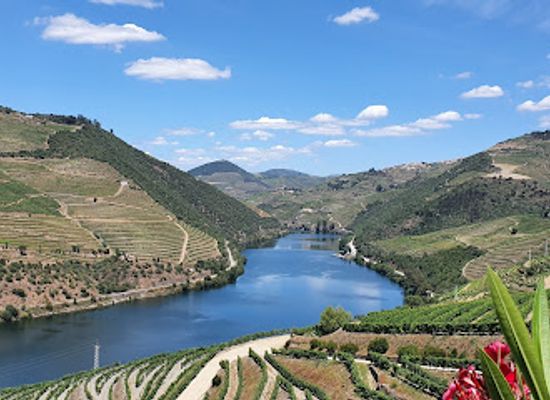 portugal/douro-valley/landmark/quinta-do-popa