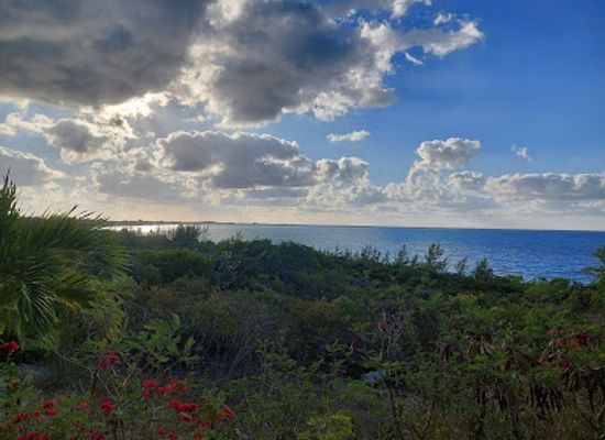 the-bahamas/rum-cay/landmark/the-pirate-house