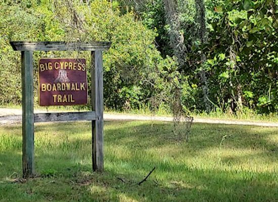florida/nature-coast/landmark/big-cypress-boardwalk-trail-goethe-state-forest