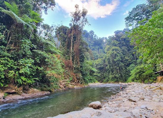 indonesia/sumatra/landmark/mount-leuser-national-park