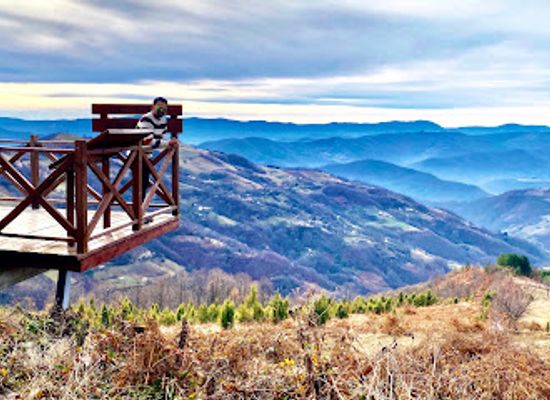 bosnia-and-herzegovina/podrinje/landmark/gate-of-podrinje